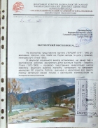 55-75 см., холст, масло 1960 год  - 2