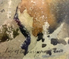 Скалы 32-21,5 см., бумага, акварель. 2007  - 1