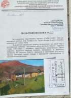 62-82 см., холст, масло 1959 год  - 2