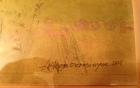 Бакота 26-41см., бумага, акварель 2007  - 4