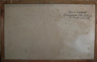 Куст пионов 55-86 см., картон, масло - 1