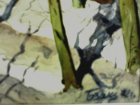Лесной ручей 19-28 см., бумага. акварель, 1972 год  - 3