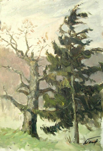  Ель и мертвые деревья 36-50 см. картон масло  1989 