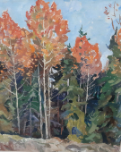 Осенний этюд 42-35 см., картон, масло 2001 год