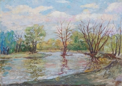 Половодье  25-35 см. холст масло 1970е 