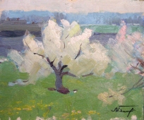 Яблоня в цвету (этюд) 22-24 см., картон, масло 1994 